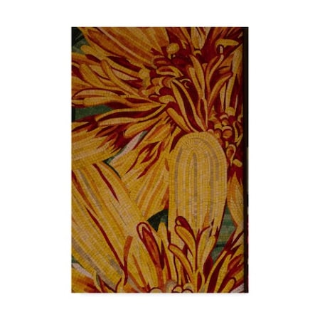Moises Levy 'Art Flower Yellow' Canvas Art,16x24
